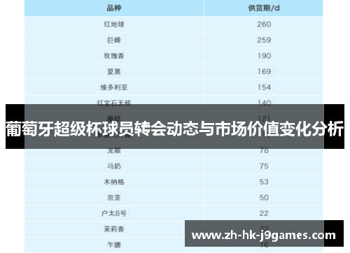 葡萄牙超级杯球员转会动态与市场价值变化分析 葡萄牙超级杯球员转会动态与市场价值变化分析